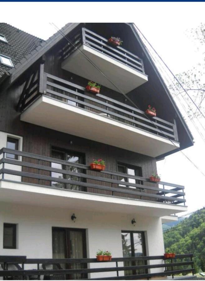 Residence Sinaia Apartment Apartament